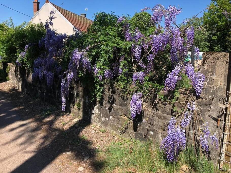 La Petite Maison D'Orphee Marmagne  Eksteriør bilde